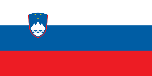sk_flag